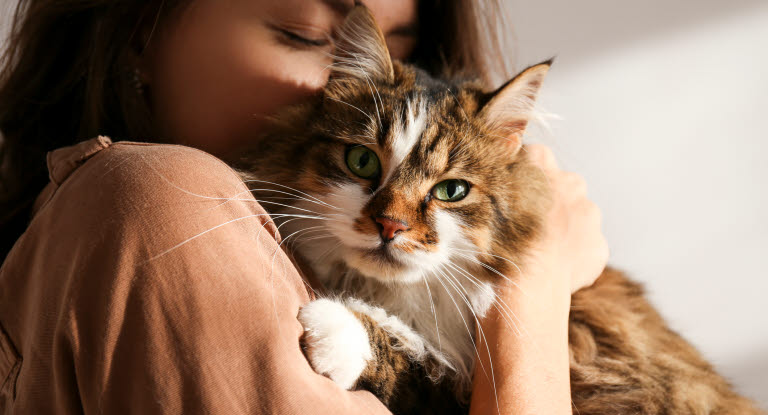 Dame som koser med katt