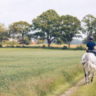 Hest og rytter på tur i et vakkert landskap