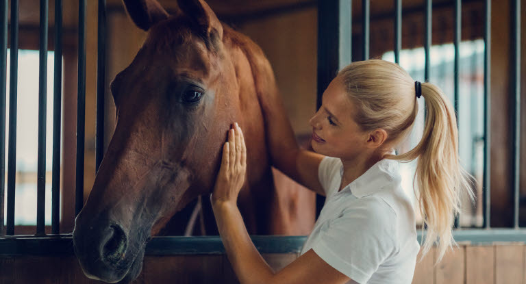 Dame som klapper en hest i en stall