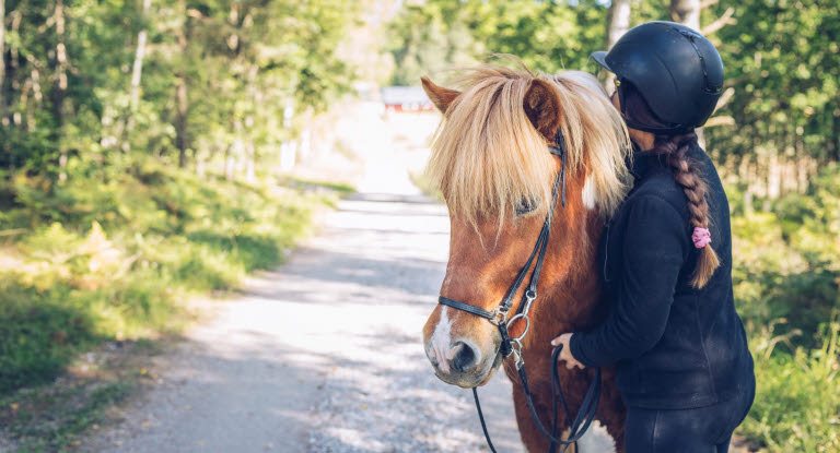 Islandshest og jente på ridetur