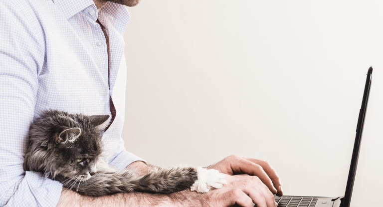  Man jobber med katten ved datamaskinen.