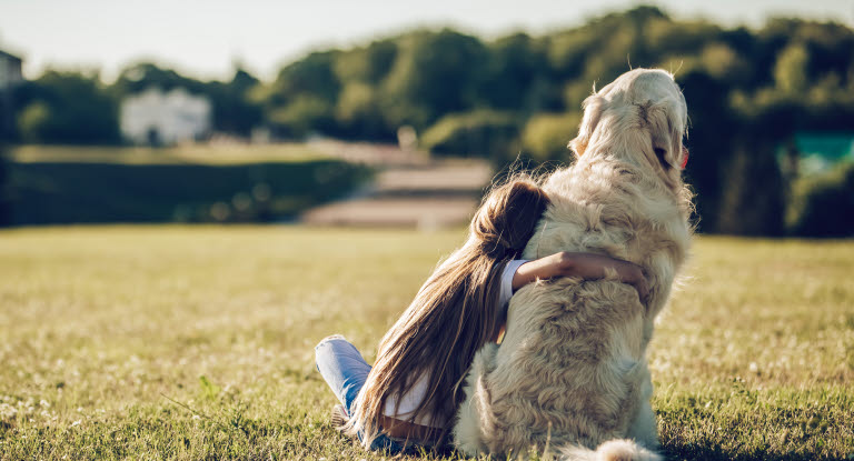 Jente som klemmer en golden retriever.