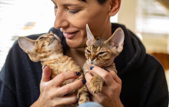 Dame som holder to devon rex kattunger.
