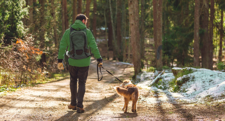 Mann og hund på tur i skogen
