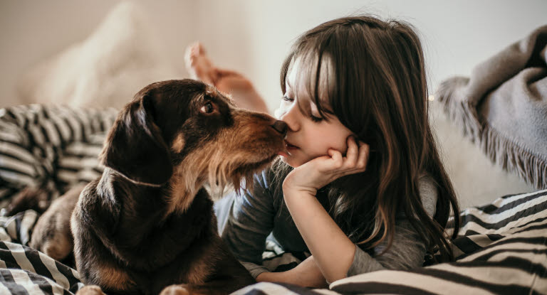 Hund og barn i sengen