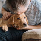 Man som kysser en hund på hodet