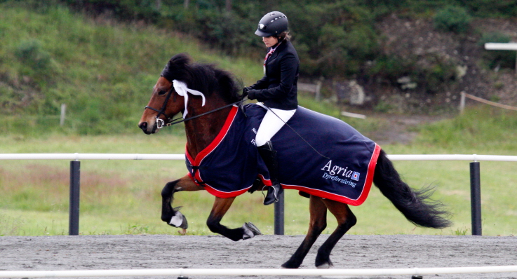 Hest som galopperer med rytter og Agria dekken