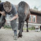 Hovslager Aksel Vibe skor en hest