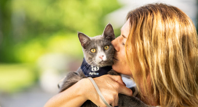 Katt får klem av eier