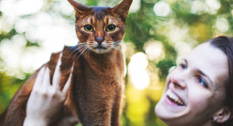 Katt holdes opp av eier utendørs