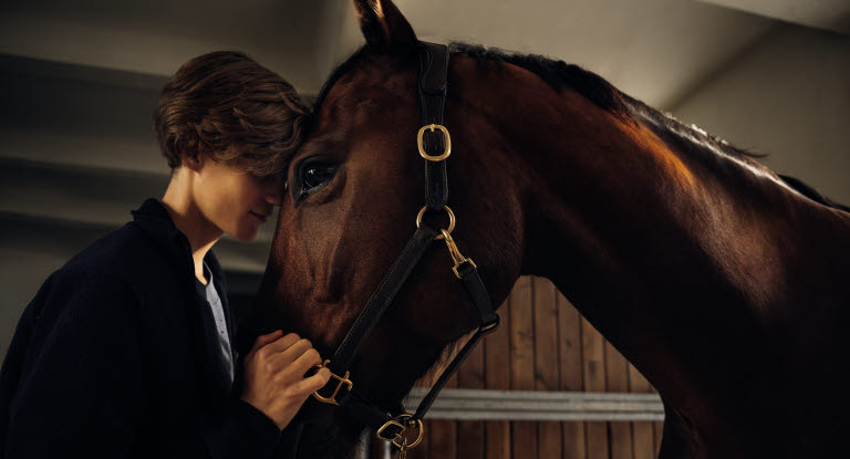 Hest og gutt klemmer inne i stallen