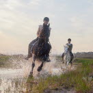 To hester med ryttere som rir i vann