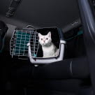Katt i transportbur i bil
