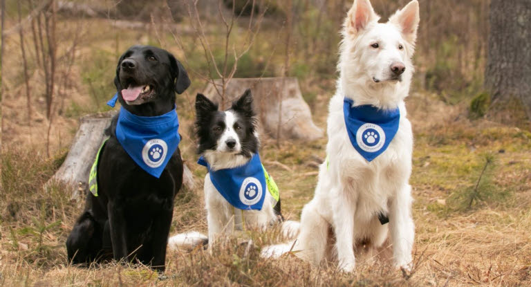 Tre hunder på Agrai Hundepromenaden