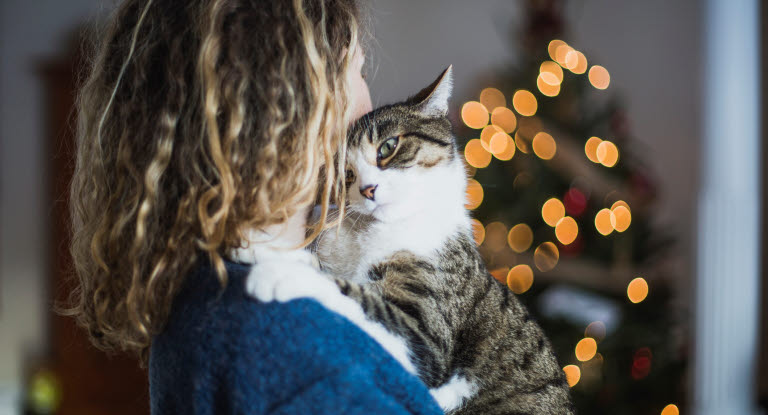 Person som koser med en katt, juletre i bakgrunnen