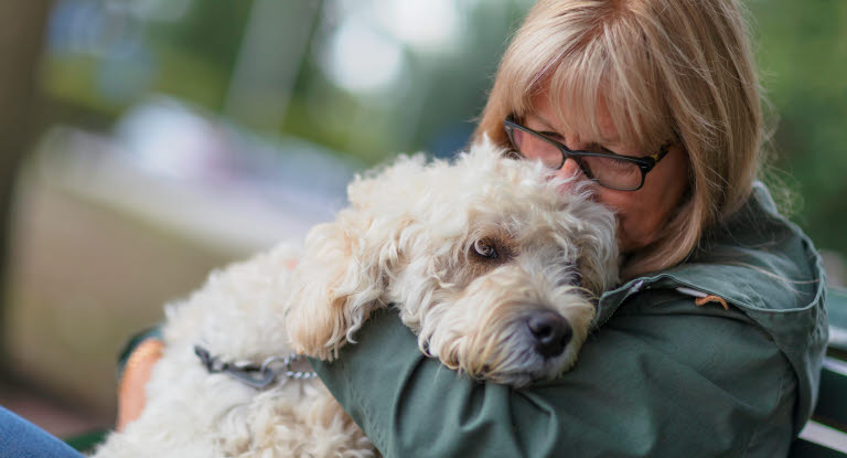 Hund på fanget til en kvinnelig eier