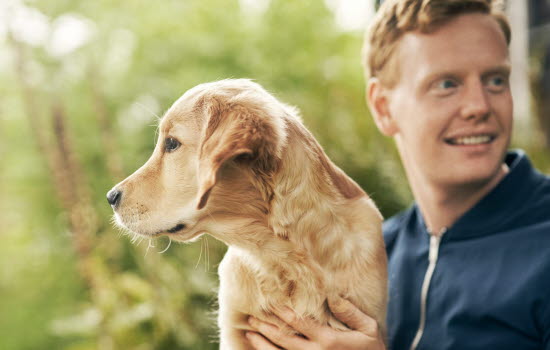 Mann som klapper en valp.