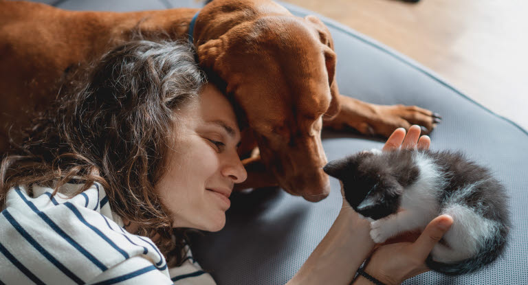 Dane som holder en kattunge i hånden. Ved siden av ligger en brun hund
