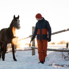 Hest og person ute på vinteren