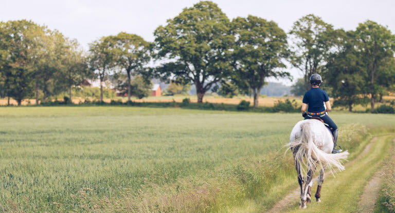 Hest og rytter på tur i et vakkert landskap