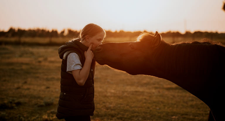 Jente og hest