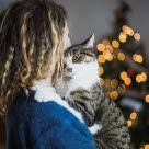 Person som koser med en katt, juletre i bakgrunnen