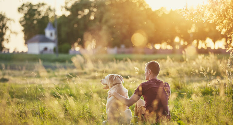 Hund med eieren sin på en gresseng
