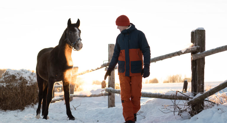 Hest og person ute på vinteren