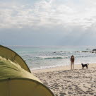 Hund og person på strand med telt