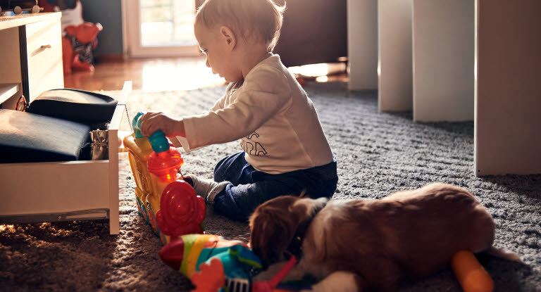 Baby som leker og hund som sover