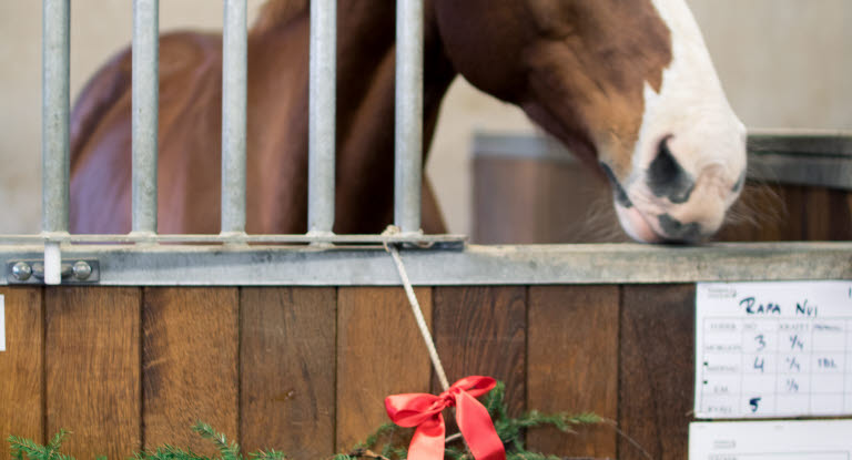 Julepynt i stallen