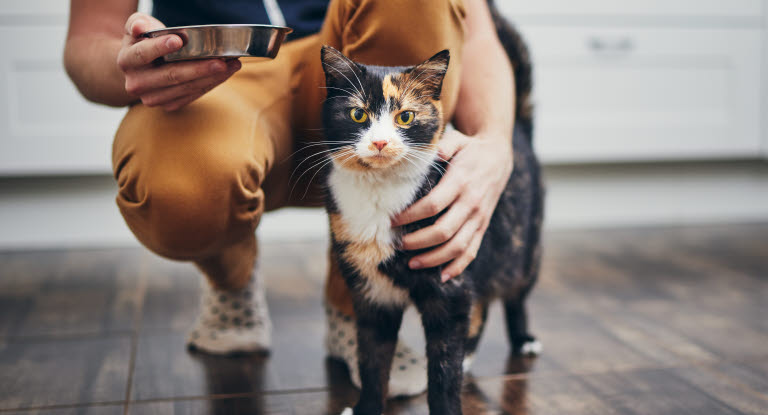 En mann som sitter på huk med matskål i hånden, ved siden av en katt