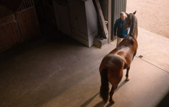 Mann og hest i stallen.