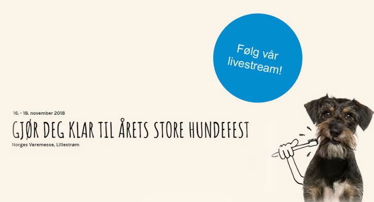 Dogs4All, skandinavias største hundemesse! Følg arragenementet live via våre livesendinger!