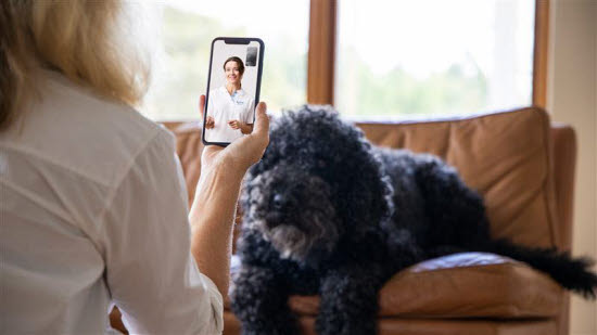 Kvinne får digital veterinærrådgivning.