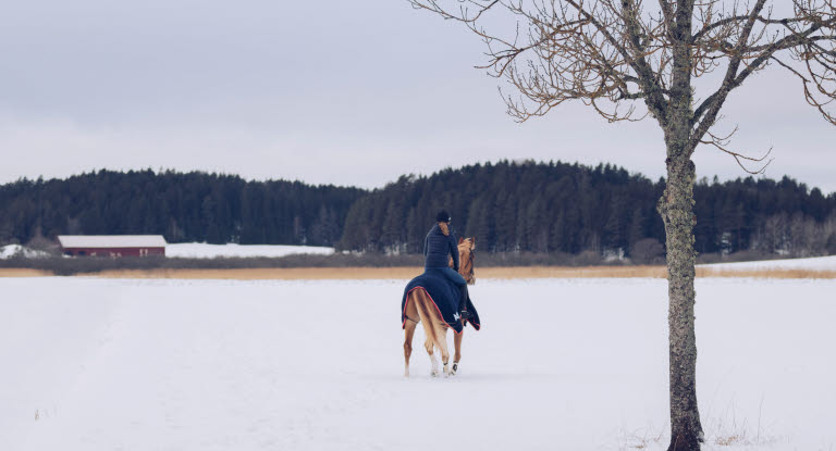 Hest og rytter på ridetur i vinterlandskap