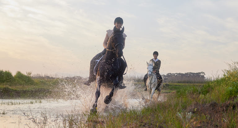 To hester med ryttere som rir i vann