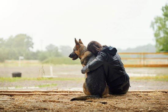 Dame som klemmer en hund
