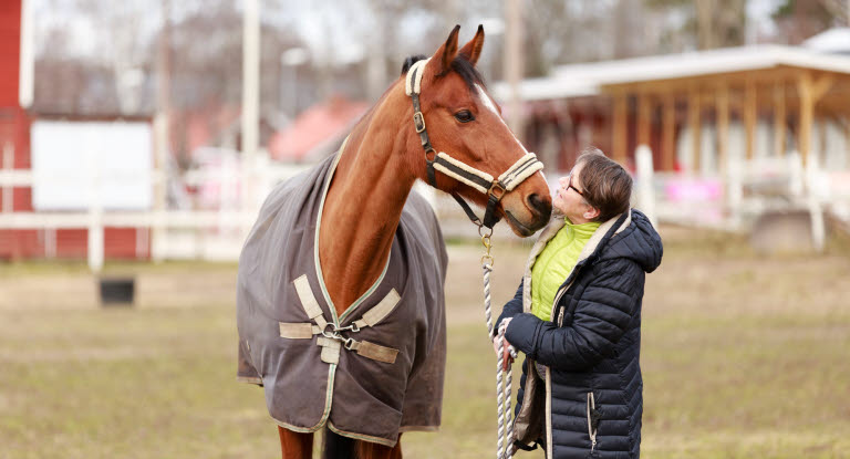 Hest og menneske 