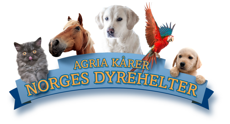 Norges dyrehelter