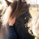 Mann klemmer hest