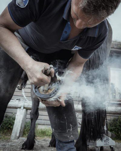 Hovslager Aksel Vibe