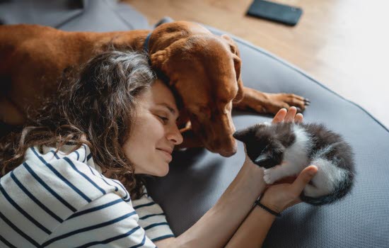 Dame ligger på sofaen med en kattunge og hund.