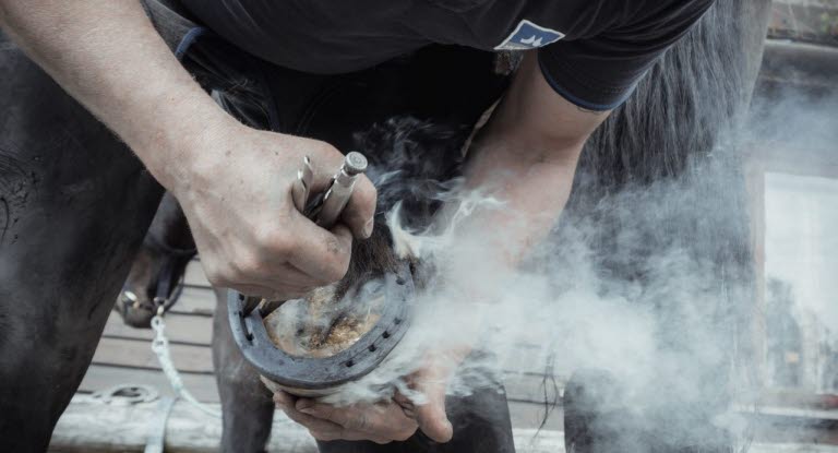 Hovslager Aksel Vibe