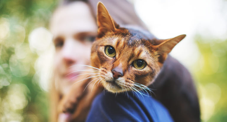 Dame med katt på skulderen