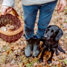 Hund og eier med soppkurv