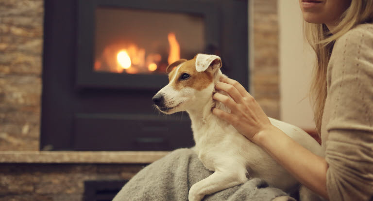 Hund som ligger på fanget ved en peis