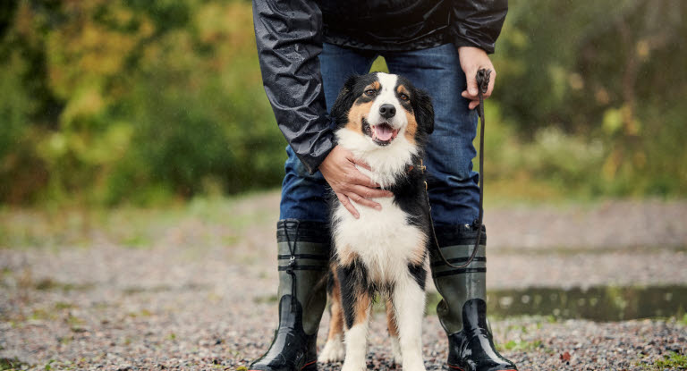 Hund og eier