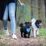 Velkommen til Agrias Hundepromenade 2019 rundt Sognsvann!
