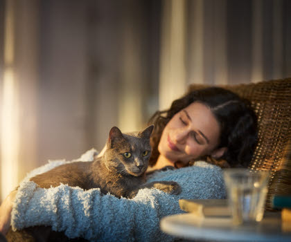 Katt ligger på fanget og får kos